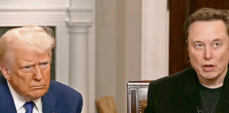 Trump quiere que Elon Musk sea “más agresivo” con  recortes en gasto público Trump quiere que Elon Musk sea “más agresivo” con recortes en gasto público