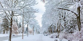 Martes frío y seco en Twin Cities, más nieve en camino Martes frío y seco en Twin Cities, más nieve en camino