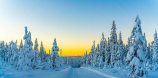El clima en Minnesota: Qué tan frío estuvo la mañana del lunes El clima en Minnesota: Qué tan frío estuvo la mañana del lunes