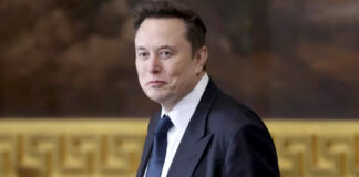 Elon Musk ayudará a Trump a descubrir fraudes multimillonarios contra el gobierno Elon Musk ayudará a Trump a descubrir fraudes multimillonarios contra el gobierno