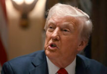 Ucrania puede “olvidarse” de una adhesión a la OTAN: Donald Trump Ucrania puede “olvidarse” de una adhesión a la OTAN: Donald Trump