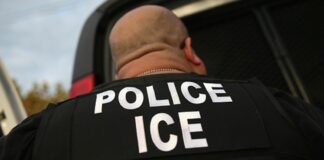 ICE allana negocio en St. Louis Park y arresta a 8 personas ICE allana negocio en St. Louis Park y arresta a 8 personas
