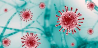 Trump recortará $11.400 millones en fondos COVID para salud local Trump recortará $11.400 millones en fondos COVID para salud local