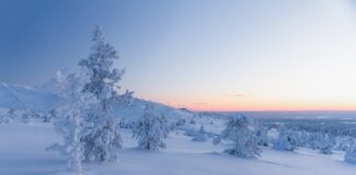 ¿Cuánta nieve ha caído en la tormenta primaveral de Minnesota? ¿Cuánta nieve ha caído en la tormenta primaveral de Minnesota?