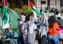 Detienen a líder de protestas propalestinas en la Universidad de Columbia Detienen a líder de protestas propalestinas en la Universidad de Columbia