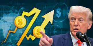 Entran en vigor aranceles de EEUU del 25% a México y Canadá Entran en vigor aranceles de EEUU del 25% a México y Canadá