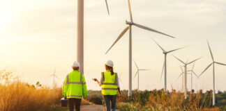 Capacidad de energía renovable creció 15.1% en el mundo en 2024 Capacidad de energía renovable creció 15.1% en el mundo en 2024