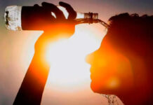 La pasada década fue la más cálida en el planeta, según la ONU La pasada década fue la más cálida en el planeta, según la ONU