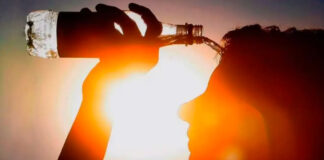 La pasada década fue la más cálida en el planeta, según la ONU La pasada década fue la más cálida en el planeta, según la ONU