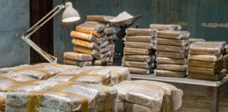 Canadá intercepta 419 kilos de cocaína de EEUU con valor aproximado de 7.7 mdd Canadá intercepta 419 kilos de cocaína de EEUU con valor aproximado de 7.7 mdd