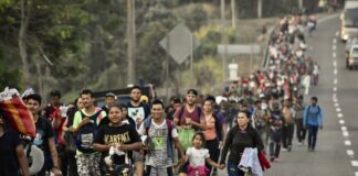 Profesor de MN: Plan de Trump con Ley de 1798 “esquiva” leyes migratorias Profesor de MN: Plan de Trump con Ley de 1798 "esquiva" leyes migratorias