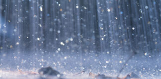 Clima en MN: Qué esperar con la lluvia del martes y posible nieve Clima en MN: Qué esperar con la lluvia del martes y posible nieve