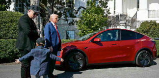 Sumarse al gobierno de Donald Trump, un mal negocio para Elon Musk Sumarse al gobierno de Donald Trump, un mal negocio para Elon Musk