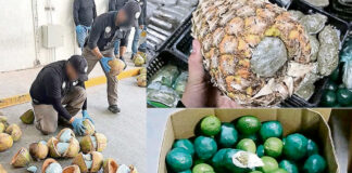 Policía mexicana descubre las mil maneras de camuflar droga de los cárteles Policía mexicana descubre las mil maneras de camuflar droga de los cárteles