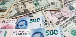 Dólar abre en 20.30 pesos al mayoreo en última jornada de la semana Dólar abre en 20.30 pesos al mayoreo en última jornada de la semana