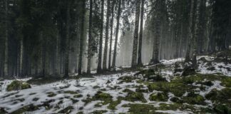 La nieve fresca retrocederá en Twin Cities el jueves con clima más cálido y soleado La nieve fresca retrocederá en Twin Cities el jueves con clima más cálido y soleado