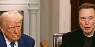 Tesla sufrirá un “impacto significativo” por aranceles de Trump, dice Elon Musk Tesla sufrirá un “impacto significativo” por aranceles de Trump, dice Elon Musk