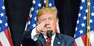 Trump amaga con poner aranceles recíprocos a madera y lácteos de Canadá Trump amaga con poner aranceles recíprocos a madera y lácteos de Canadá