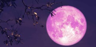 Luna llena 2025: Cuándo llegará la ‘Luna Rosa’ de abril al cielo Luna llena 2025: Cuándo llegará la ‘Luna Rosa’ de abril al cielo