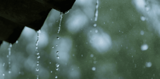 Clima en Minnesota: Agradable sol y muy suave para el Día de la Tierra Clima en Minnesota: Agradable sol y muy suave para el Día de la Tierra