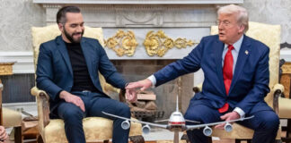 “Tenemos muchas ganas de ayudar”, dice Nayib Bukele a Trump "Tenemos muchas ganas de ayudar", dice Nayib Bukele a Trump