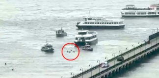 Cae helicóptero en el río Hudson con cuatro personas a bordo; inician rescate Cae helicóptero en el río Hudson con cuatro personas a bordo; inician rescate