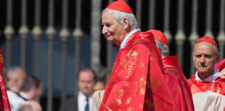 Matteo Zuppi, el cardenal que sería la continuidad de Francisco Matteo Zuppi, el cardenal que sería la continuidad de Francisco