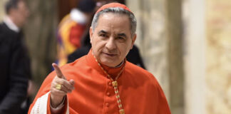 Pelea en el Vaticano: Cardenal destituido por Francisco exige participar en Cónclave Pelea en el Vaticano: Cardenal destituido por Francisco exige participar en Cónclave