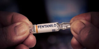 Acusa Trump que sigue entrando fentanilo a EEUU desde México y Canadá Acusa Trump que sigue entrando fentanilo a EEUU desde México y Canadá