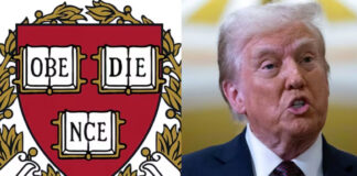 Harvard desafía a Trump y no finalizará políticas de inclusión y diversidad Harvard desafía a Trump y no finalizará políticas de inclusión y diversidad