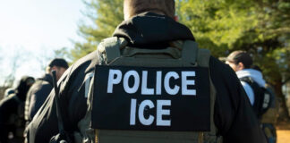 Agentes del ICE detienen a guatemalteco que buscaba asilo en EEUU Agentes del ICE detienen a guatemalteco que buscaba asilo en EEUU