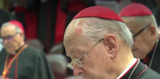 Cardenal señalado de abuso sexual aparece en las congregaciones en el Vaticano Cardenal señalado de abuso sexual aparece en las congregaciones en el Vaticano