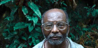 “Yo vi tres luces negras”, película colombiana que explora la espiritualidad y el conflicto "Yo vi tres luces negras", película colombiana que explora la espiritualidad y el conflicto