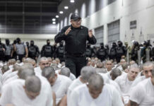 Perú plantea que OEA declare al Tren de Aragua organización terrorista internacional Perú plantea que OEA declare al Tren de Aragua organización terrorista internacional