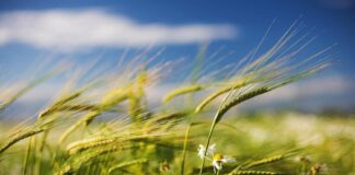 Semana laboral con vientos fuertes en las Twin Cities Semana laboral con vientos fuertes en las Twin Cities