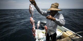 Museo de pesca de Minnesota, lleno de artículos vintage donados Museo de pesca de minnesota, lleno de artículos vintage donados