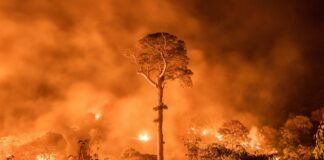 Alerta por incendios y mala calidad del aire en Minnesota Alerta por incendios y mala calidad del aire en Minnesota