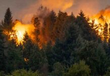 Incendios en Minnesota: Se levantan zonas de evacuación mientras continúan los esfuerzos de contención Incendios en Minnesota: Se levantan zonas de evacuación mientras continúan los esfuerzos de contención