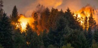 Incendios en Minnesota: Se levantan zonas de evacuación mientras continúan los esfuerzos de contención Incendios en Minnesota: Se levantan zonas de evacuación mientras continúan los esfuerzos de contención