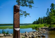 Walz firma proyecto de ley bipartidista sobre seguridad en remoción de maleza lacustre tras muerte de 2 jóvenes Walz firma proyecto de ley bipartidista sobre seguridad en remoción de maleza lacustre tras muerte de 2 jóvenes