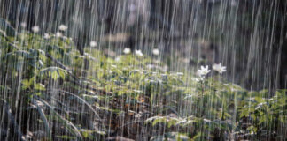 Lluvias dispersas a mitad de semana antes de la llegada del verano este fin de semana Lluvias dispersas a mitad de semana antes de la llegada del verano este fin de semana