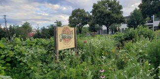 El Jardín Comunitario Soo Line de Minneapolis pronto podría resurgir El Jardín Comunitario Soo Line de Minneapolis pronto podría resurgir