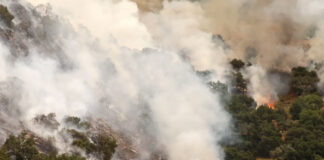 Alerta de Bandera Roja emitida para 77 condados de Minnesota Alerta de Bandera Roja emitida para 77 condados de Minnesota