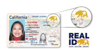 REAL ID y TSA en el Aeropuerto MSP: Qué esperar REAL ID y TSA en el Aeropuerto MSP: Qué esperar