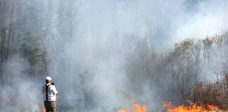 Incendios en Minnesota: Camp House y Jenkins Creek, parcialmente contenidos Incendios en Minnesota: Camp House y Jenkins Creek, parcialmente contenidos