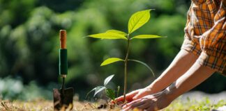 Venta de Plantas de Hennepin Tech se Extiende hasta el 8 de Mayo Venta de Plantas de Hennepin Tech se Extiende hasta el 8 de Mayo