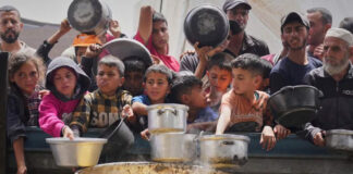 Medio millón de gazatíes están al borde de la hambruna por bloqueo de ayuda: OMS Medio millón de gazatíes están al borde de la hambruna por bloqueo de ayuda: OMS