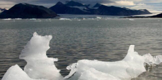 Los glaciares no se recuperarán en siglos, aunque bajen las temperaturas Los glaciares no se recuperarán en siglos, aunque bajen las temperaturas