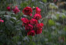Lluvias dispersas el miércoles en Minnesota mientras esperan un aumento de temperatura Lluvias dispersas el miércoles en Minnesota mientras esperan un aumento de temperatura