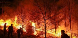 3 incendios forestales no controlados continúan creciendo en el norte de Minnesota Incendios forestales en minnesota en vivo: 3 incendios no controlados continúan creciendo